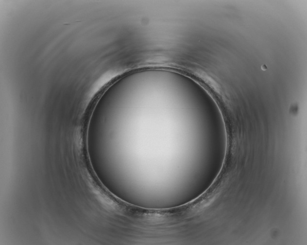 X0000094351458200711091441