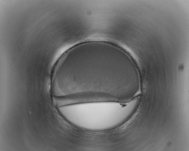 X0000094351461200711091441