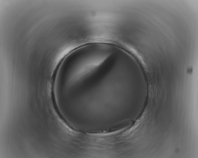 X0000094351463200711091441