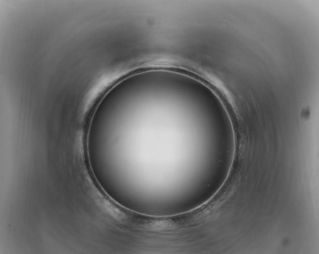 X0000094351464200711091441