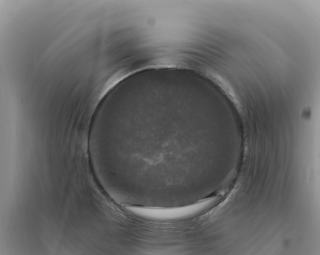 X0000094351465200711091441