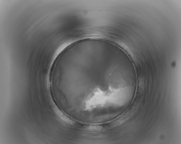 X0000094351466200711091441