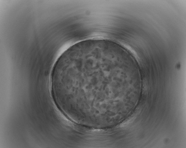 X0000094351467200711091441