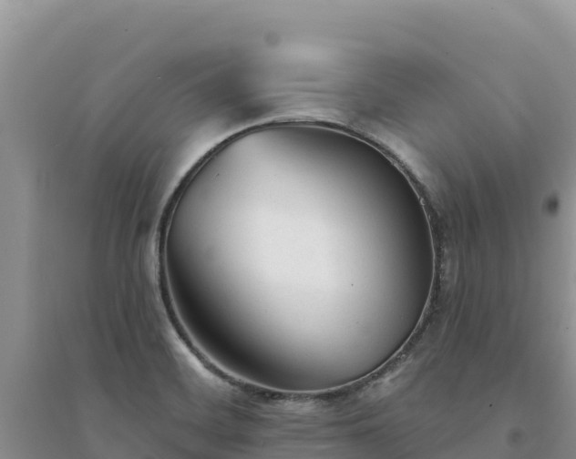 X0000094351468200711091440