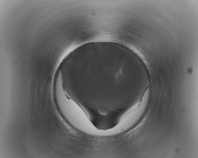 X0000094351469200711091440