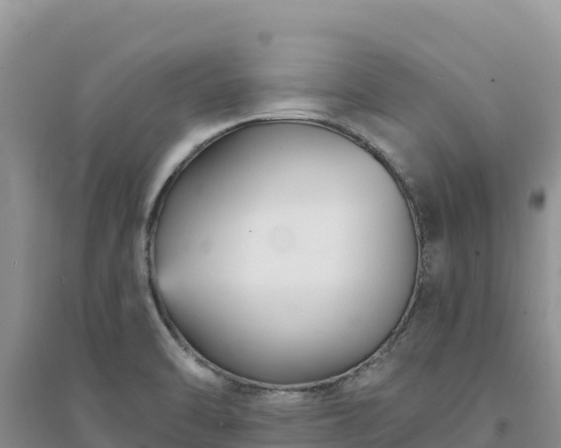 X0000094351470200711091440