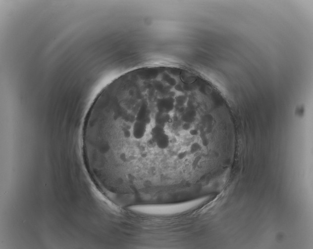 X0000094351471200711091440