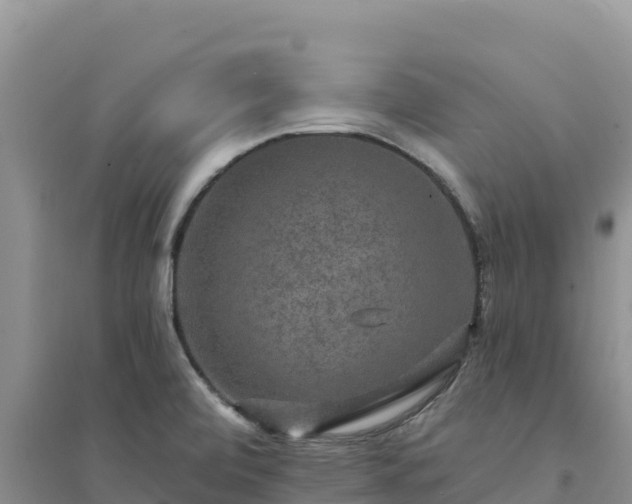 X0000094351472200711091440