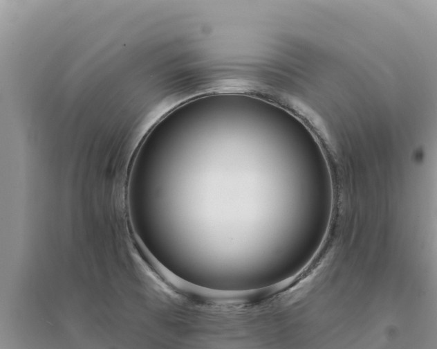 X0000094351473200711091440