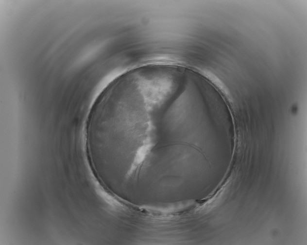 X0000094351474200711091440