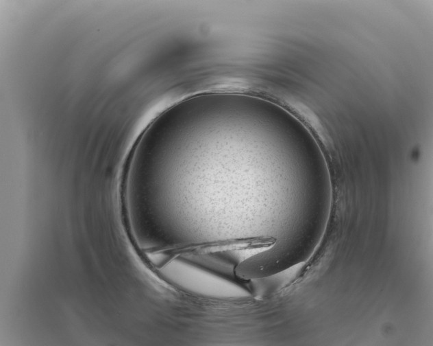 X0000094351475200711091440