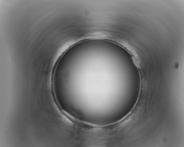 X0000094351477200711091440