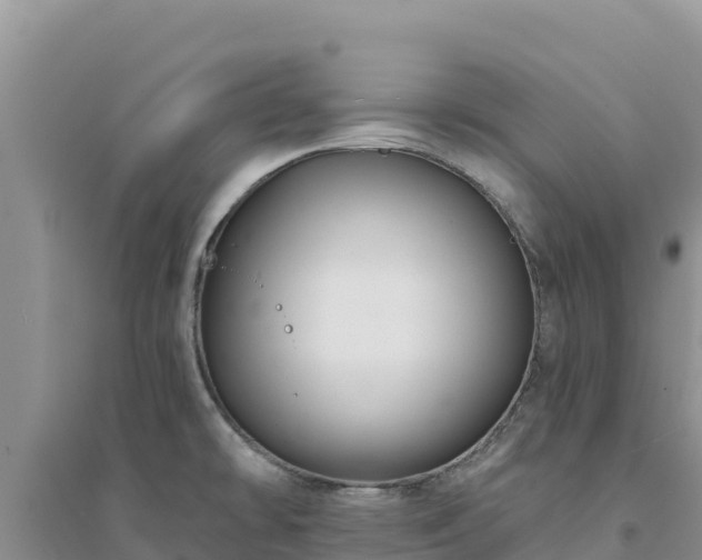 X0000094351478200711091440