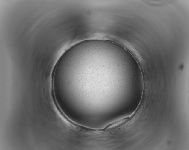 X0000094351479200711091440