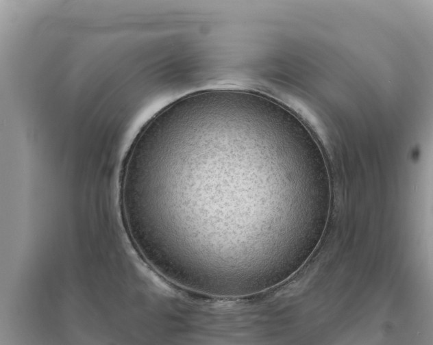 X0000094351480200711091440