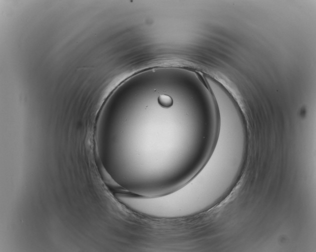 X0000094351481200711091440