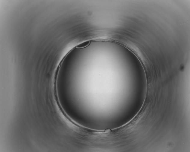 X0000094351483200711091440