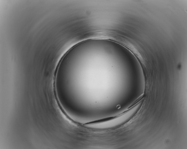 X0000094351484200711091440