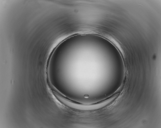 X0000094351485200711091440