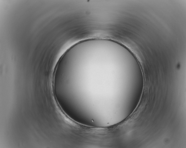 X0000094351486200711091440