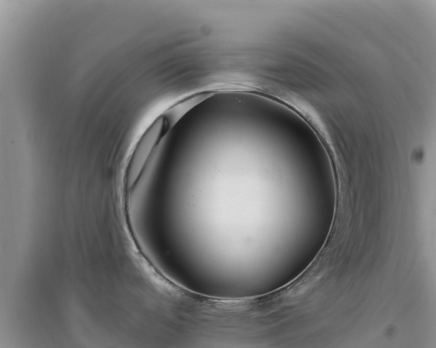 X0000094351488200711091440