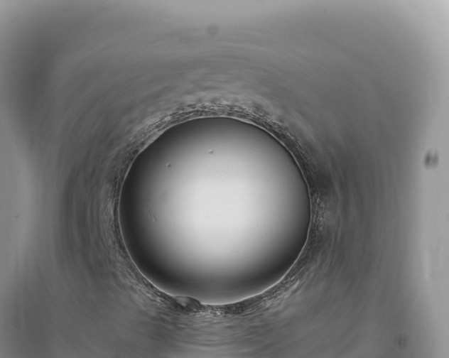 X0000094351489200711091440