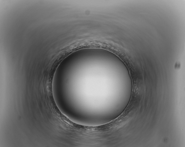 X0000094351490200711091440