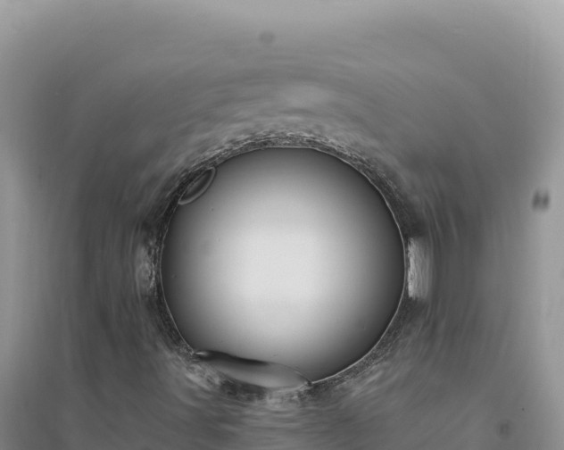 X0000094351491200711091440