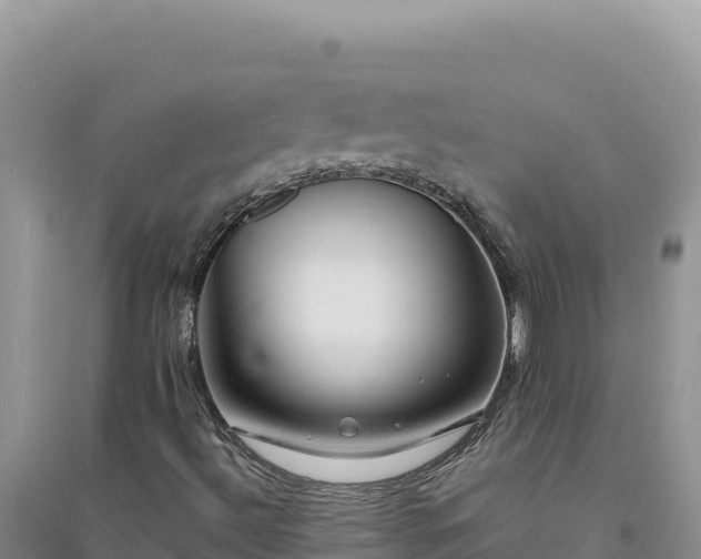 X0000094351492200711091440