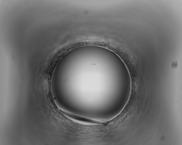 X0000094351493200711091440