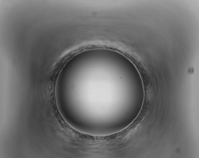 X0000094351494200711091440