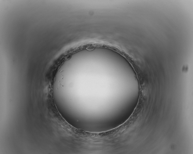 X0000094351495200711091440