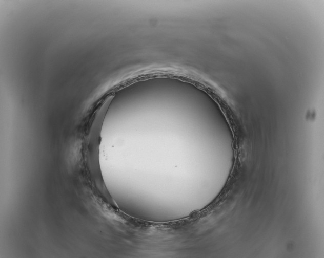 X0000094351496200711091440