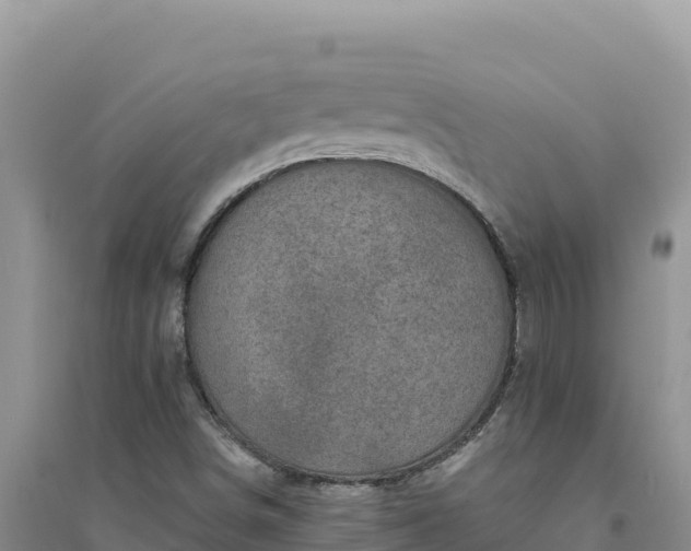 X0000094351498200711091440