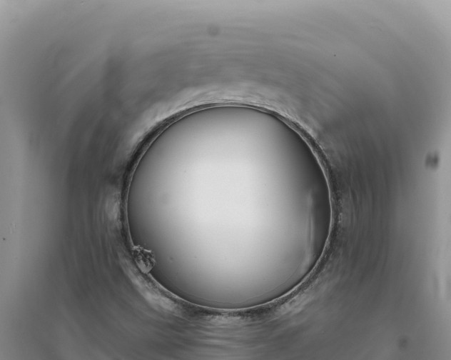 X0000094351499200711091440