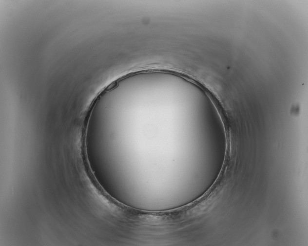 X0000094351500200711091440