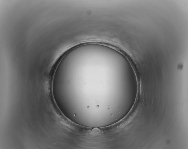 X0000094351501200711091440