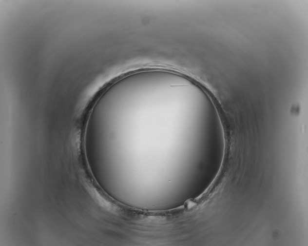 X0000094351503200711091440