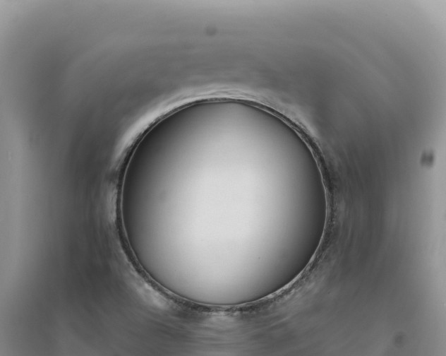 X0000094351504200711091440