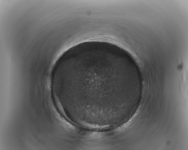 X0000094351506200711091440