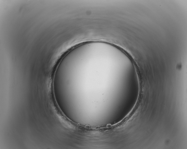 X0000094351507200711091440