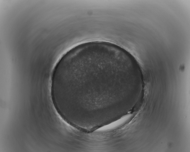 X0000094351508200711091440