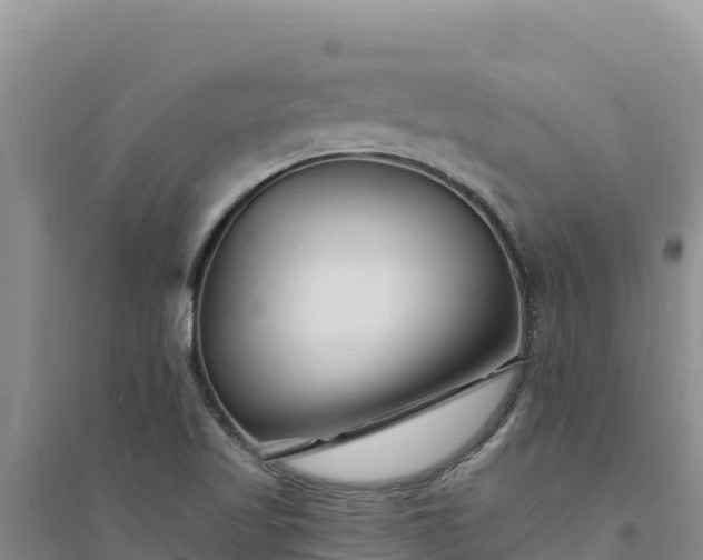 X0000094351509200711091440