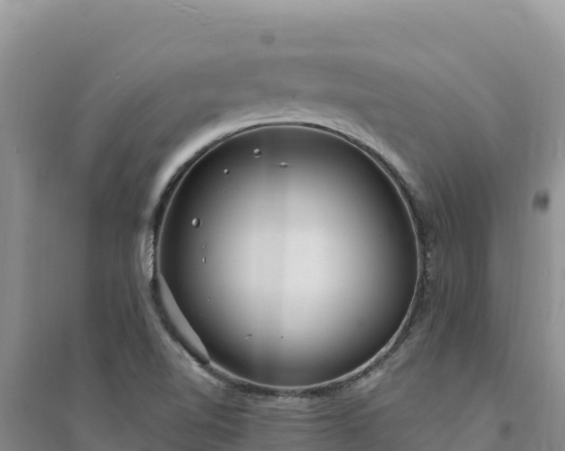 X0000094351510200711091440