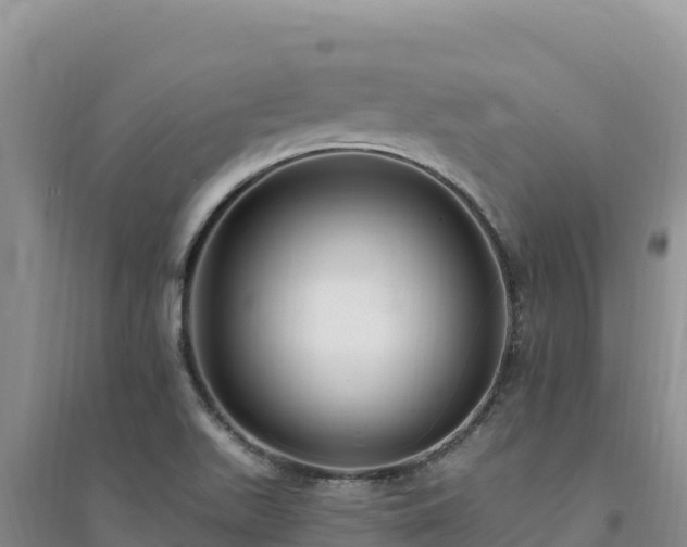 X0000094351511200711091440