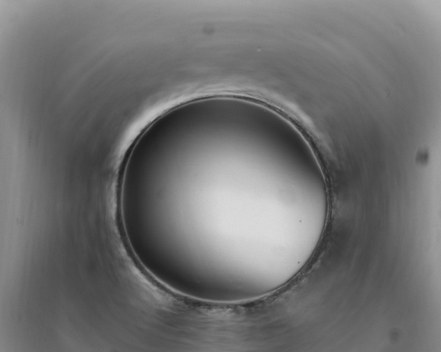 X0000094351512200711091440