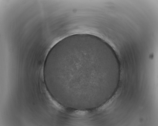 X0000094351513200711091440