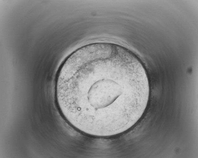 X0000094351514200711091440