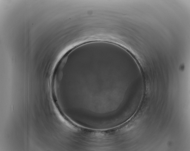 X0000094351515200711091440