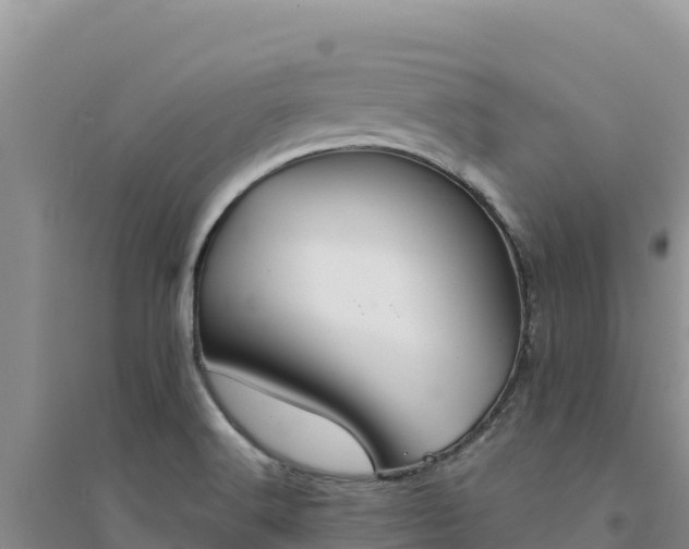 X0000094351516200711091440